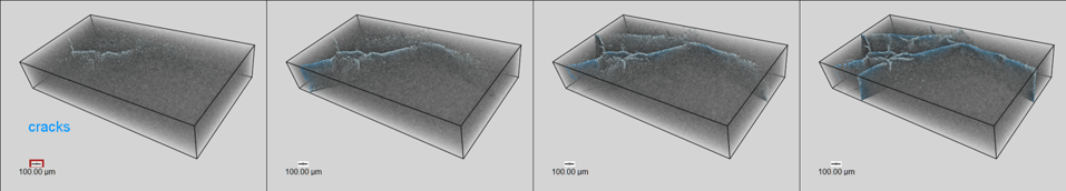 fine_in-situ_observation